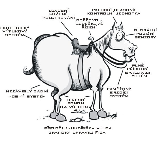horse-popis-cz