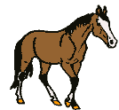 aaa_cheval001